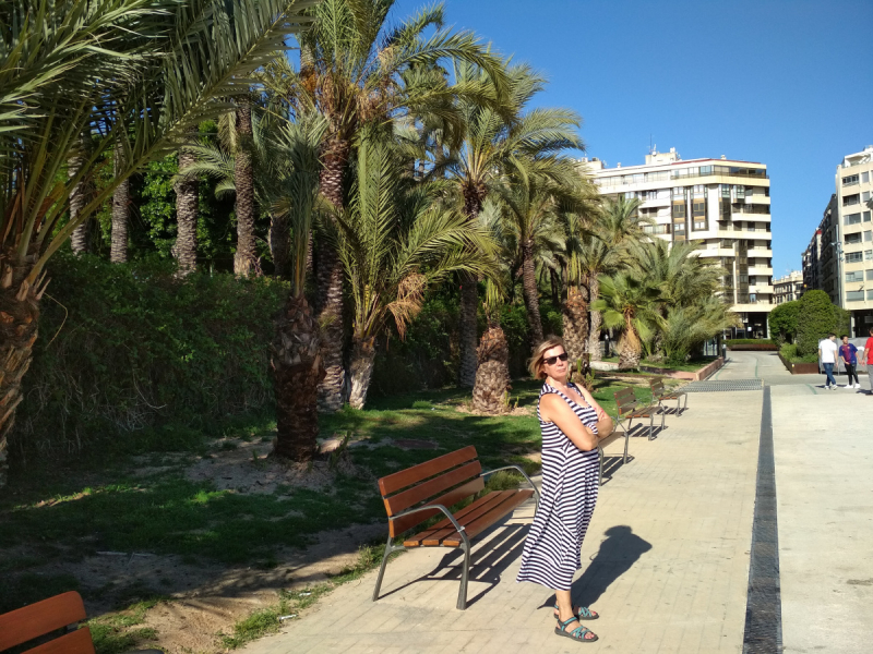 Кошки в нашей жизни. Кошки и все, что с ними связано.