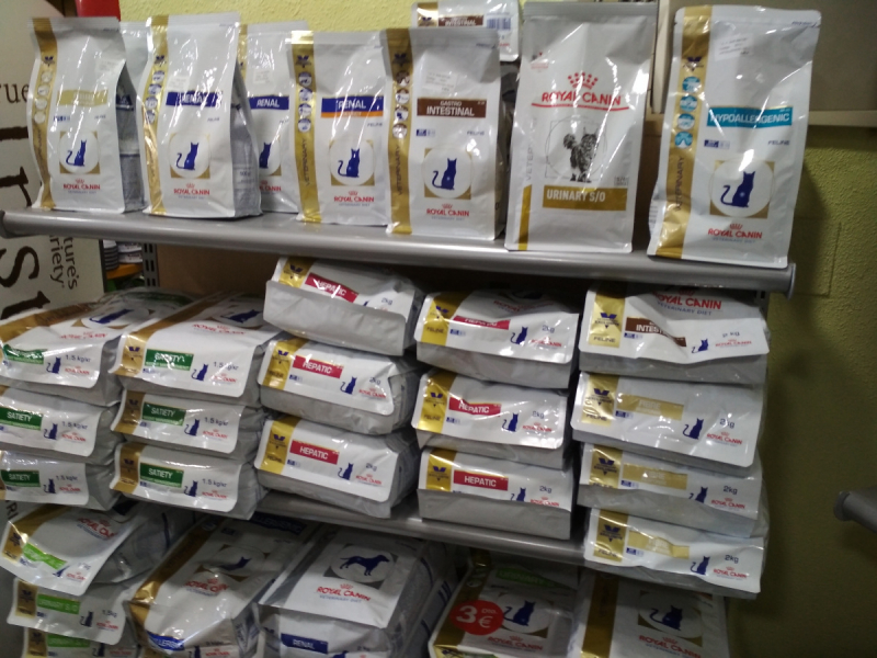 Кошки в нашей жизни. Кошки и все, что с ними связано.