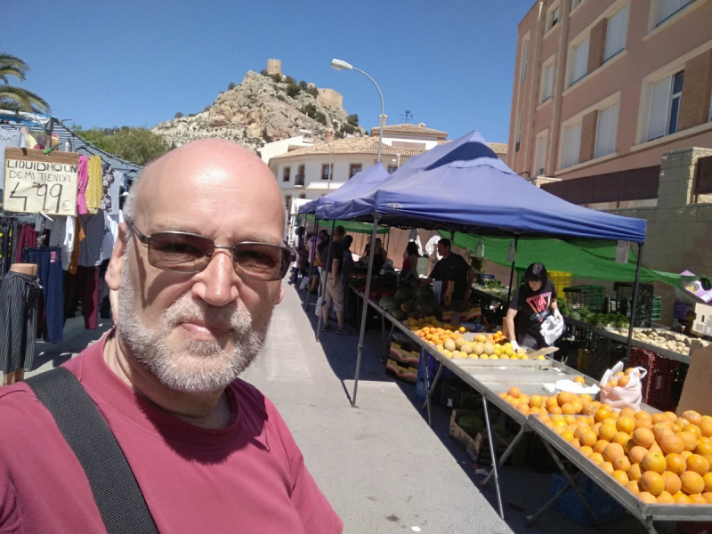 Кошки в нашей жизни. Кошки и все, что с ними связано.