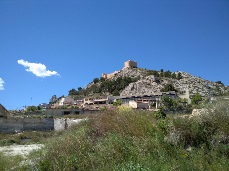 Кошки в нашей жизни. Кошки и все, что с ними связано.