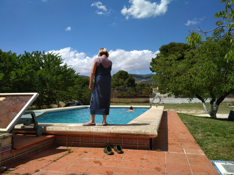 Кошки в нашей жизни. Кошки и все, что с ними связано.