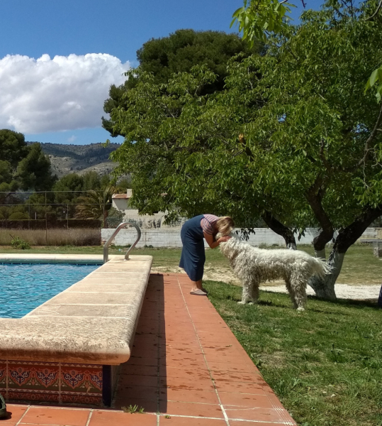 Кошки в нашей жизни. Кошки и все, что с ними связано.