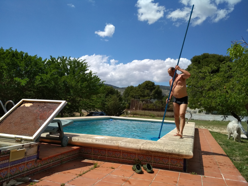 Кошки в нашей жизни. Кошки и все, что с ними связано.