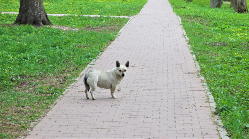 Из Епифани и Кондуков с большим приветом. Май 2019.