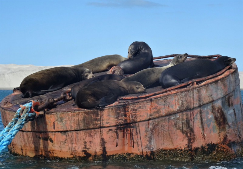 16 дней на разграбление Мексики. И ограбление по-мексикански как алаверды. 2019, февраль