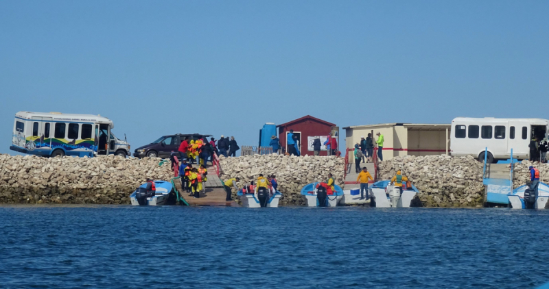 16 дней на разграбление Мексики. И ограбление по-мексикански как алаверды. 2019, февраль