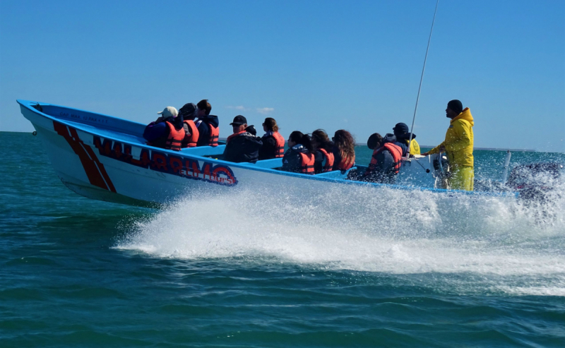 16 дней на разграбление Мексики. И ограбление по-мексикански как алаверды. 2019, февраль