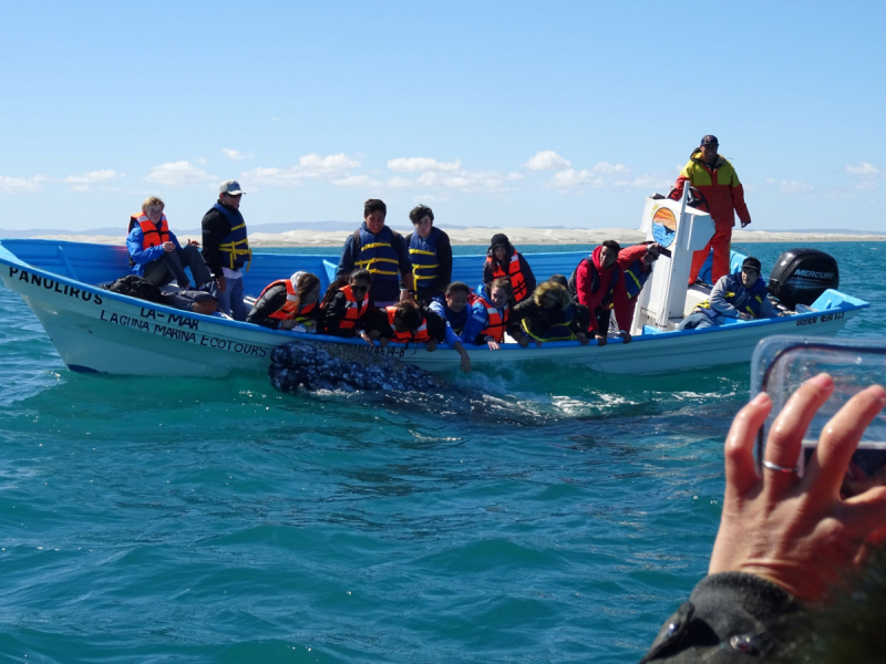 16 дней на разграбление Мексики. И ограбление по-мексикански как алаверды. 2019, февраль