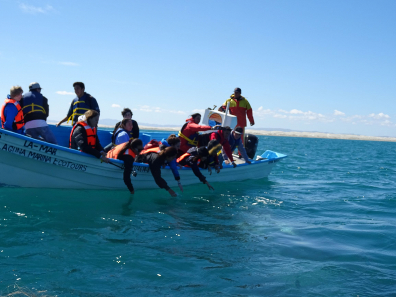 16 дней на разграбление Мексики. И ограбление по-мексикански как алаверды. 2019, февраль