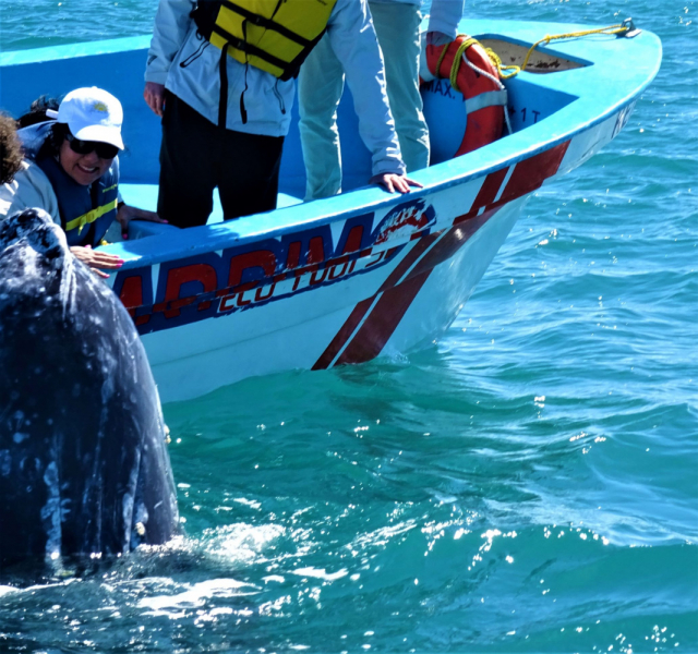 16 дней на разграбление Мексики. И ограбление по-мексикански как алаверды. 2019, февраль