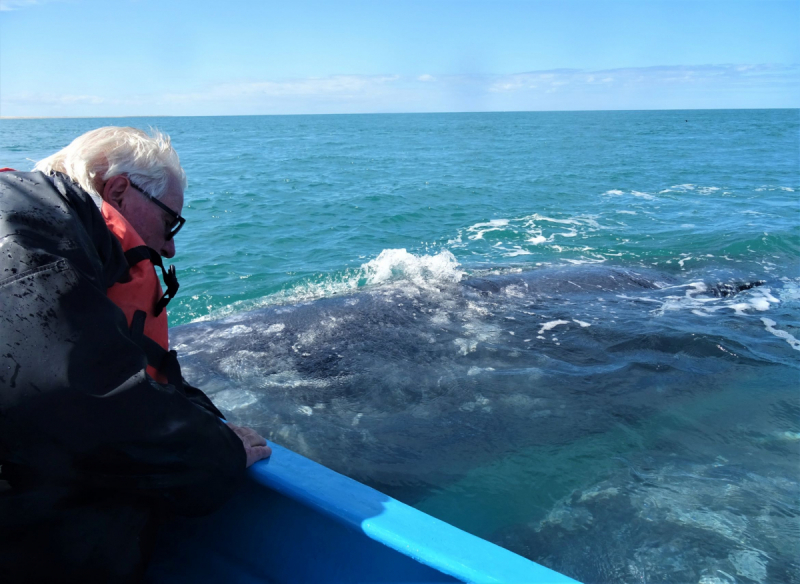 16 дней на разграбление Мексики. И ограбление по-мексикански как алаверды. 2019, февраль