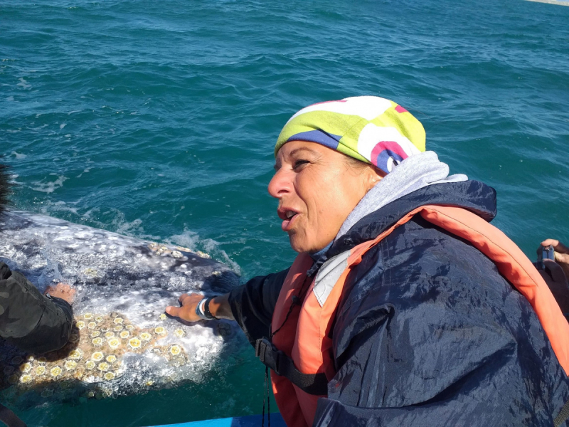 16 дней на разграбление Мексики. И ограбление по-мексикански как алаверды. 2019, февраль