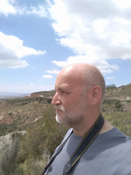 Кошки в нашей жизни. Кошки и все, что с ними связано.