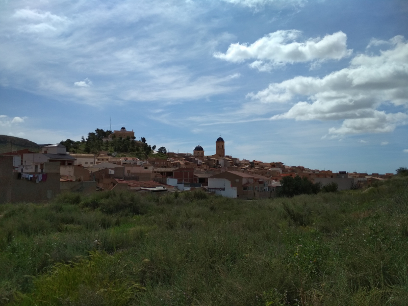 Кошки в нашей жизни. Кошки и все, что с ними связано.