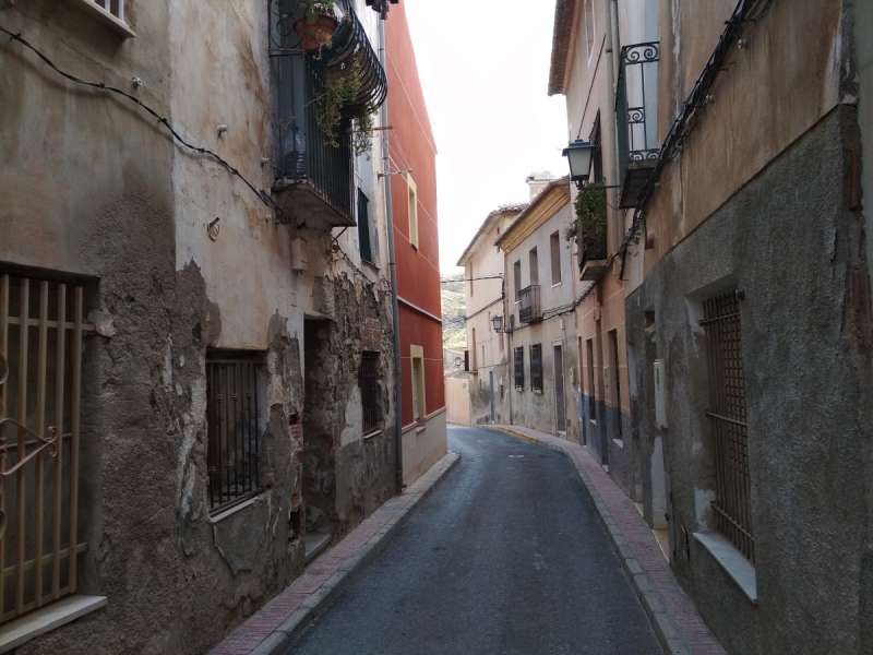 Кошки в нашей жизни. Кошки и все, что с ними связано.