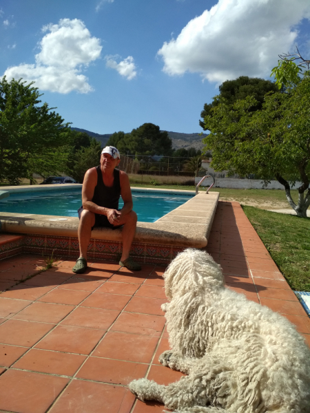 Кошки в нашей жизни. Кошки и все, что с ними связано.