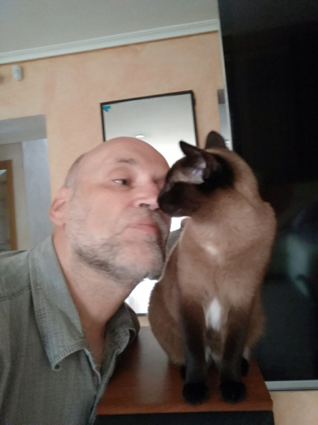 Кошки в нашей жизни. Кошки и все, что с ними связано.