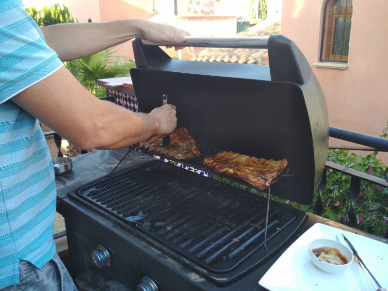 Кошки в нашей жизни. Кошки и все, что с ними связано.