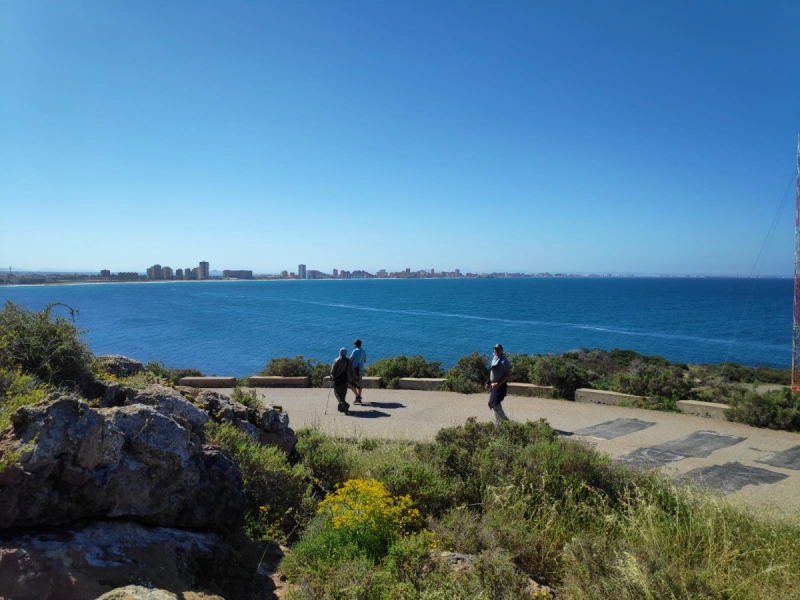 Кошки в нашей жизни. Кошки и все, что с ними связано.