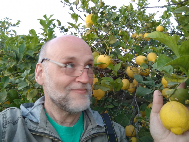 Кошки в нашей жизни. Кошки и все, что с ними связано.