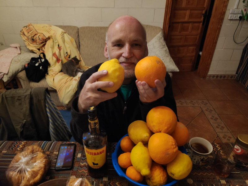 Кошки в нашей жизни. Кошки и все, что с ними связано.