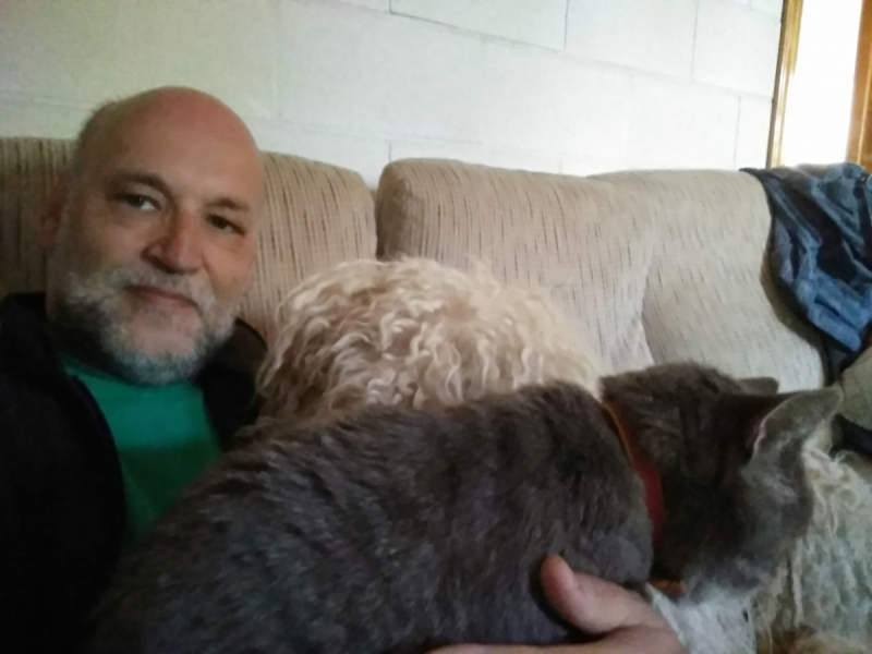 Кошки в нашей жизни. Кошки и все, что с ними связано.