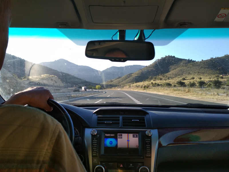 Кошки в нашей жизни. Кошки и все, что с ними связано.