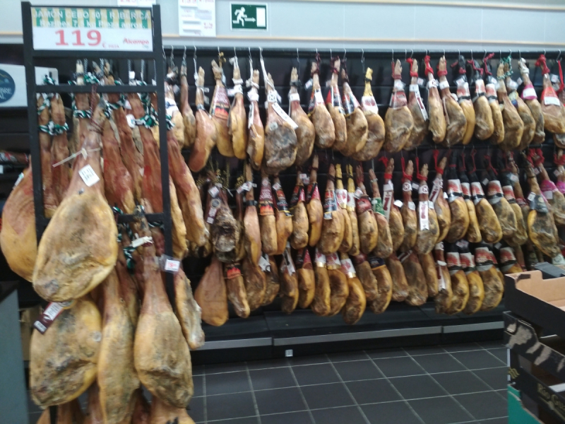 Кошки в нашей жизни. Кошки и все, что с ними связано.