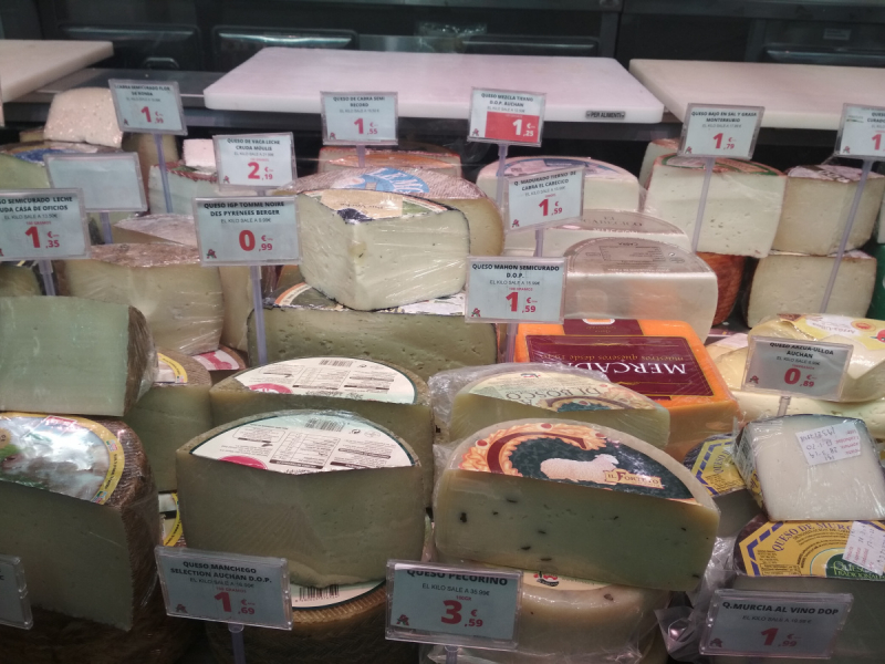 Кошки в нашей жизни. Кошки и все, что с ними связано.