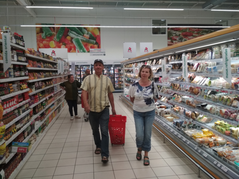 Кошки в нашей жизни. Кошки и все, что с ними связано.