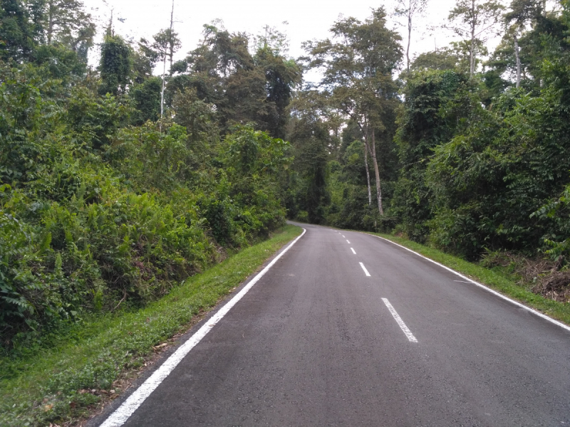 Остров жгучей погоды: Борнео весной 2019 года + немного Куала-Лумпур