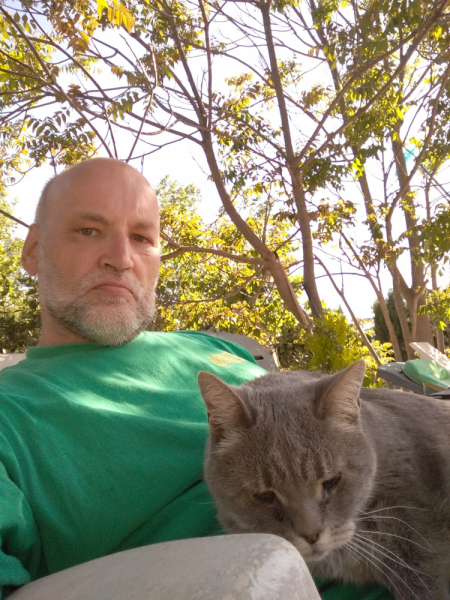 Кошки в нашей жизни. Кошки и все, что с ними связано.