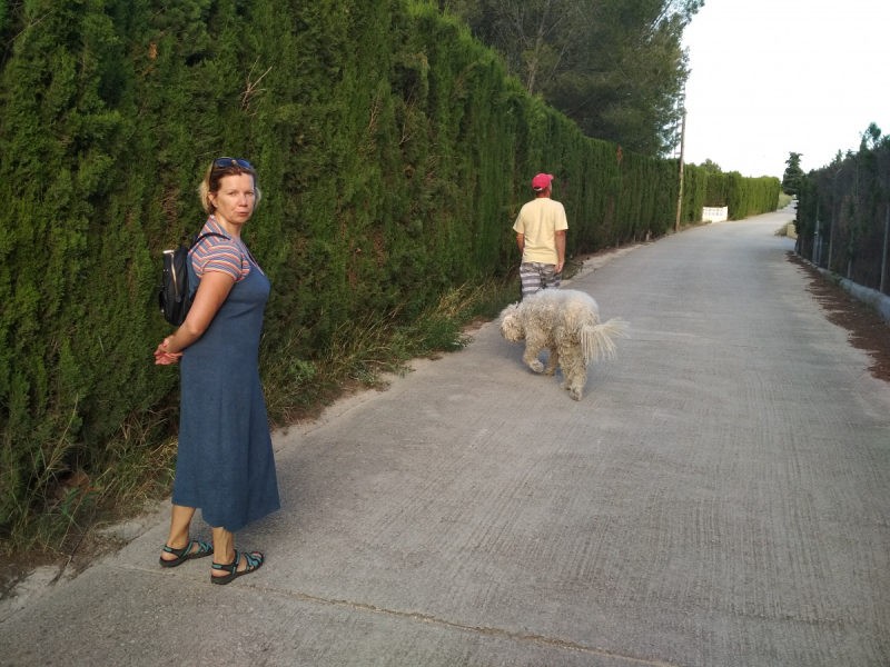 Кошки в нашей жизни. Кошки и все, что с ними связано.