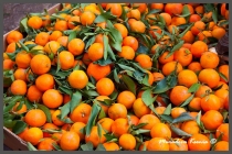Марокко