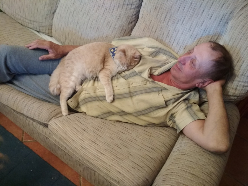 Кошки в нашей жизни. Кошки и все, что с ними связано.