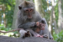 Детские каникулы в сезон дождей