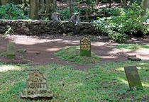 Детские каникулы в сезон дождей