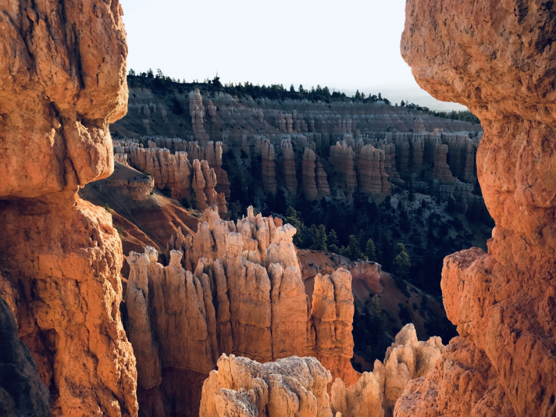 Парки Запада США, включая Yellowstone и Grand Teton. 2-13 мая.