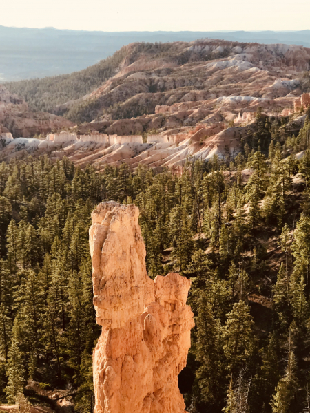 Парки Запада США, включая Yellowstone и Grand Teton. 2-13 мая.