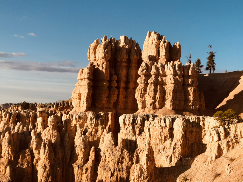 Парки Запада США, включая Yellowstone и Grand Teton. 2-13 мая.