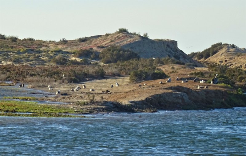16 дней на разграбление Мексики. И ограбление по-мексикански как алаверды. 2019, февраль
