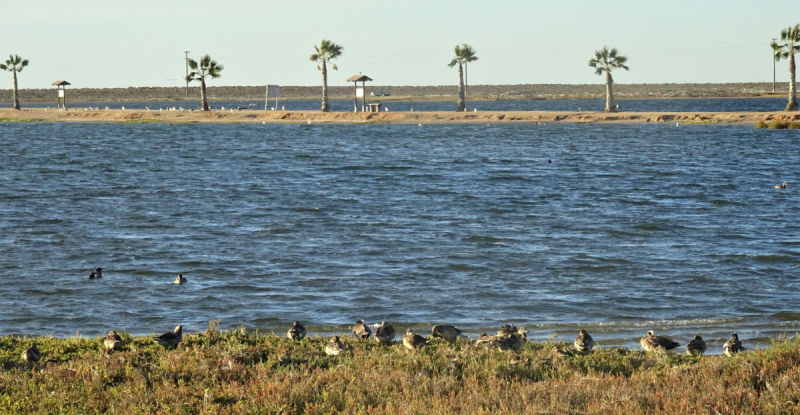 16 дней на разграбление Мексики. И ограбление по-мексикански как алаверды. 2019, февраль