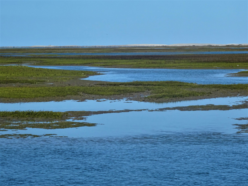 16 дней на разграбление Мексики. И ограбление по-мексикански как алаверды. 2019, февраль