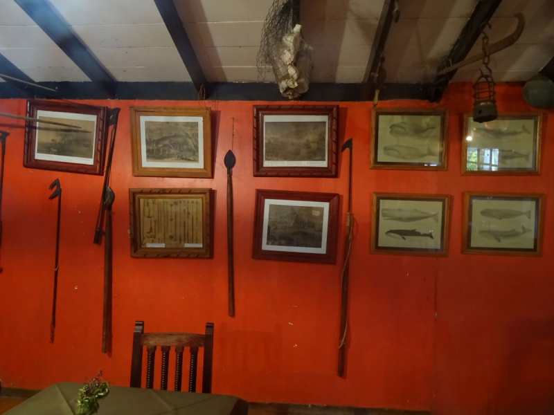 16 дней на разграбление Мексики. И ограбление по-мексикански как алаверды. 2019, февраль