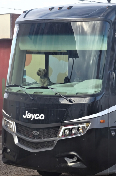 16 дней на разграбление Мексики. И ограбление по-мексикански как алаверды. 2019, февраль