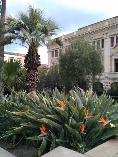 Две недели на Сицилии, Катания март 2018 с посещением Мальты