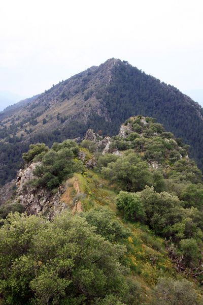 Xàtiva – Sierra de Cazorla - Peniscola 2017