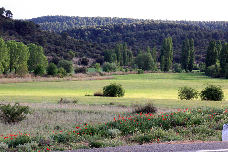 Xàtiva – Sierra de Cazorla - Peniscola 2017