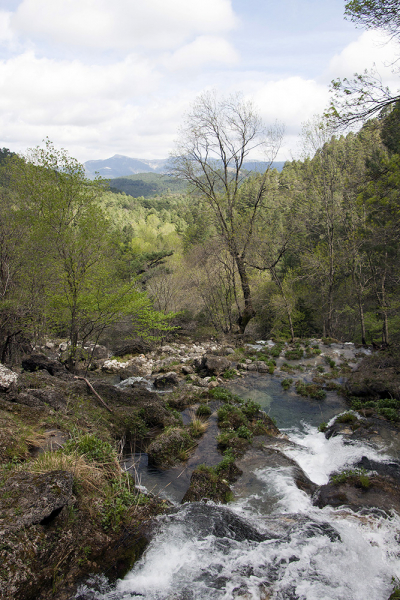 Xàtiva – Sierra de Cazorla - Peniscola 2017