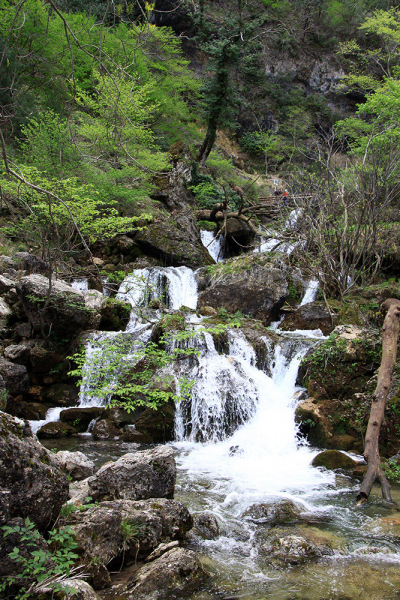 Xàtiva – Sierra de Cazorla - Peniscola 2017